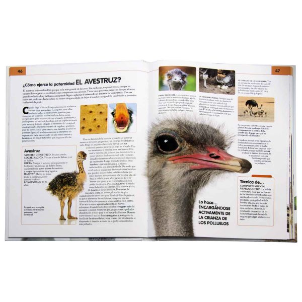 Comportamiento del Reino Animal - Imagen 2