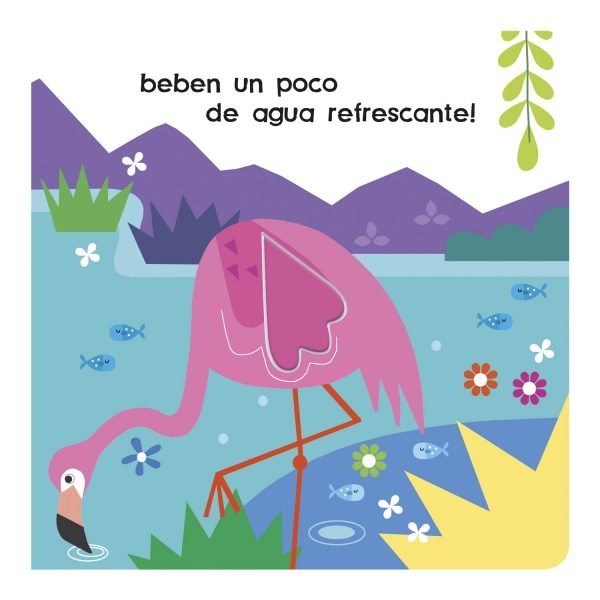 Mira y Descubre – Flamencos - Imagen 2