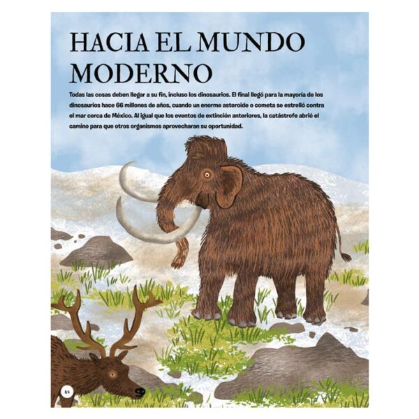La Historia de la Vida