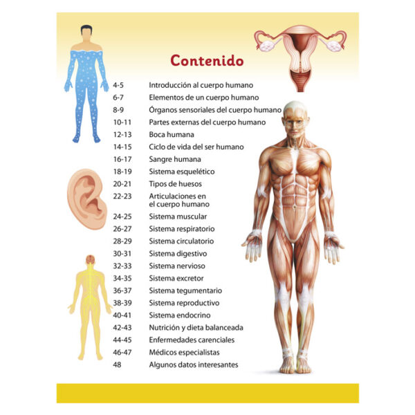Enciclopedia Ilustrada Cuerpo Humano