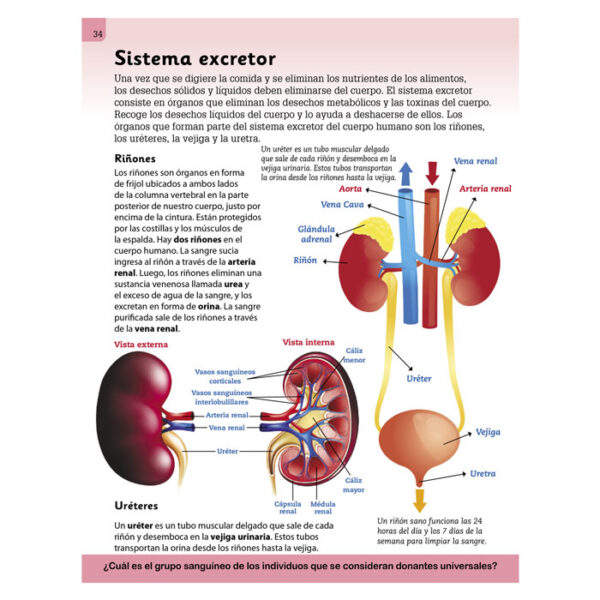 Enciclopedia Ilustrada Cuerpo Humano