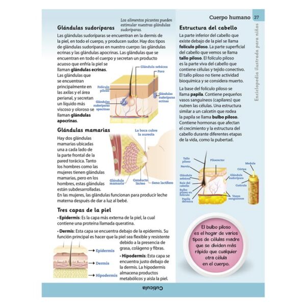 Enciclopedia Ilustrada Cuerpo Humano