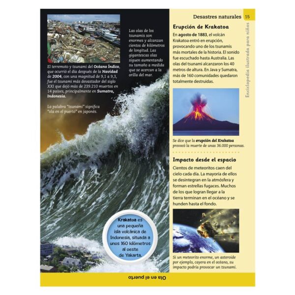 Enciclopedia Ilustrada Desastres Naturales