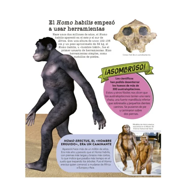 El Libro de Todas las Cosas - Imagen 3