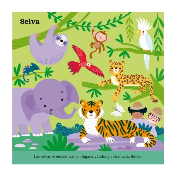 Piezas de Juego - Selva